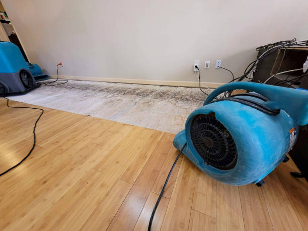 Professional Water Extraction technician working in Saco, ME